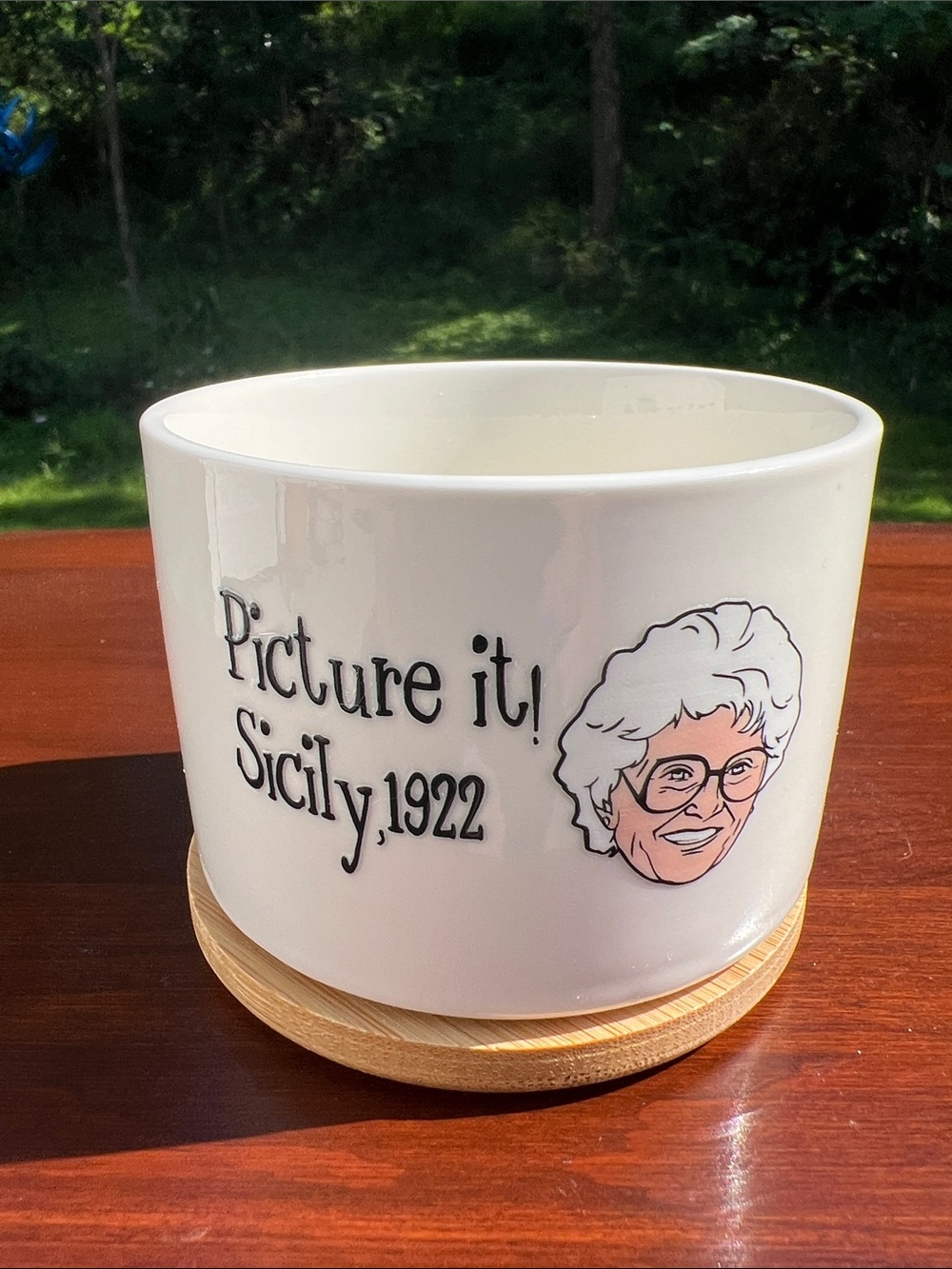 Golden Girls Picture it Sicily Succulent Small Planter Pot Wooden Underplate